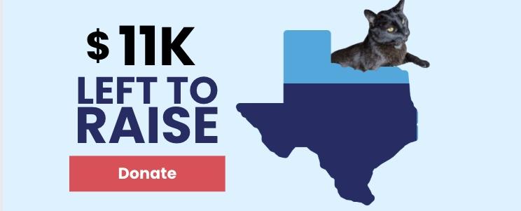 Timmy the Cat is tracking our End of Month fundraising progress